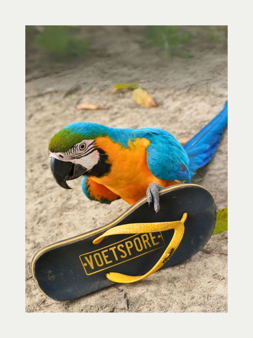 Voetspore Plakkies sandals in outdoor lifestyle image